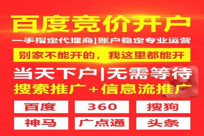 SEM代理服务：案例分享，效果显著